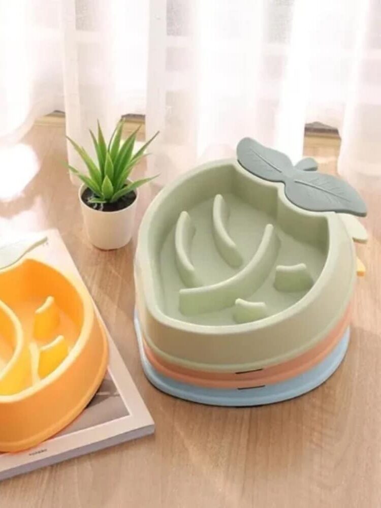 gamelle anti glouton pêche pour animaux