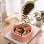 gamelle anti glouton pêche pour chiens et chats