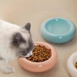 gamelle céramique ronde pour chiens et chats