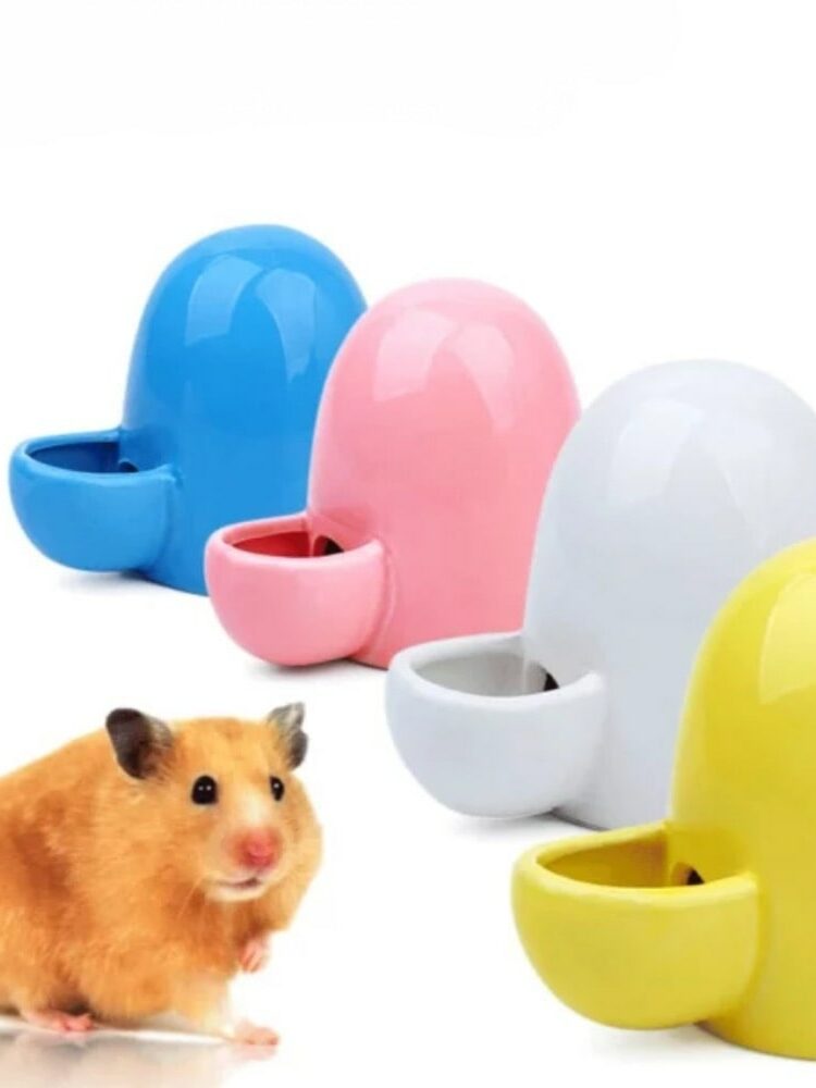 gamelle ergonomique rongeur pour animaux