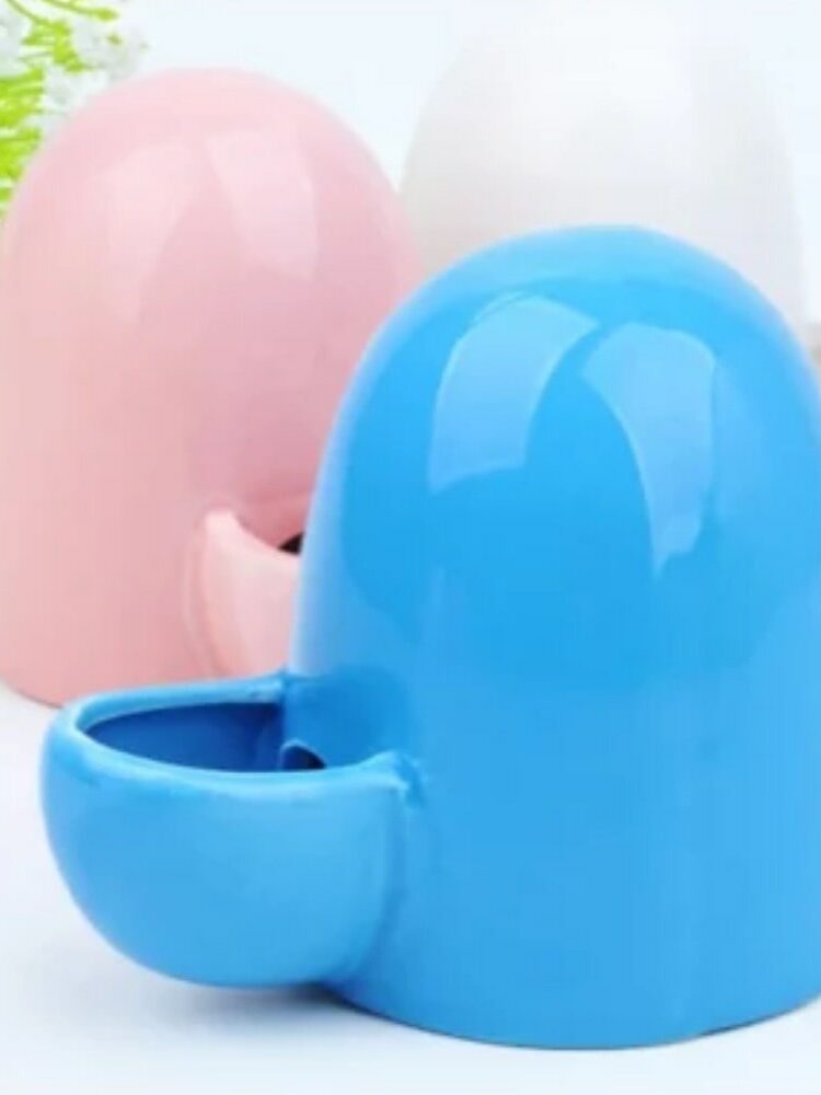 gamelle ergonomique rongeur pour animal