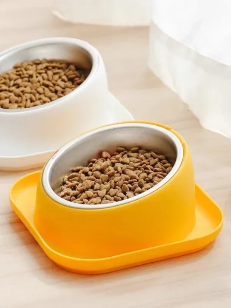 gamelle inox ergonomique pour animaux