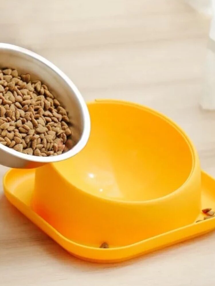 gamelle inox ergonomique pour chien et chat