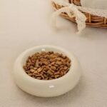 gamelle céramique ronde pour chien
