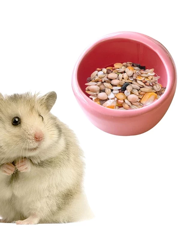 gamelle céramique petit rongeur pour animaux