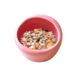 Gamelle céramique pour animaux de compagnie, style élégant et pratique