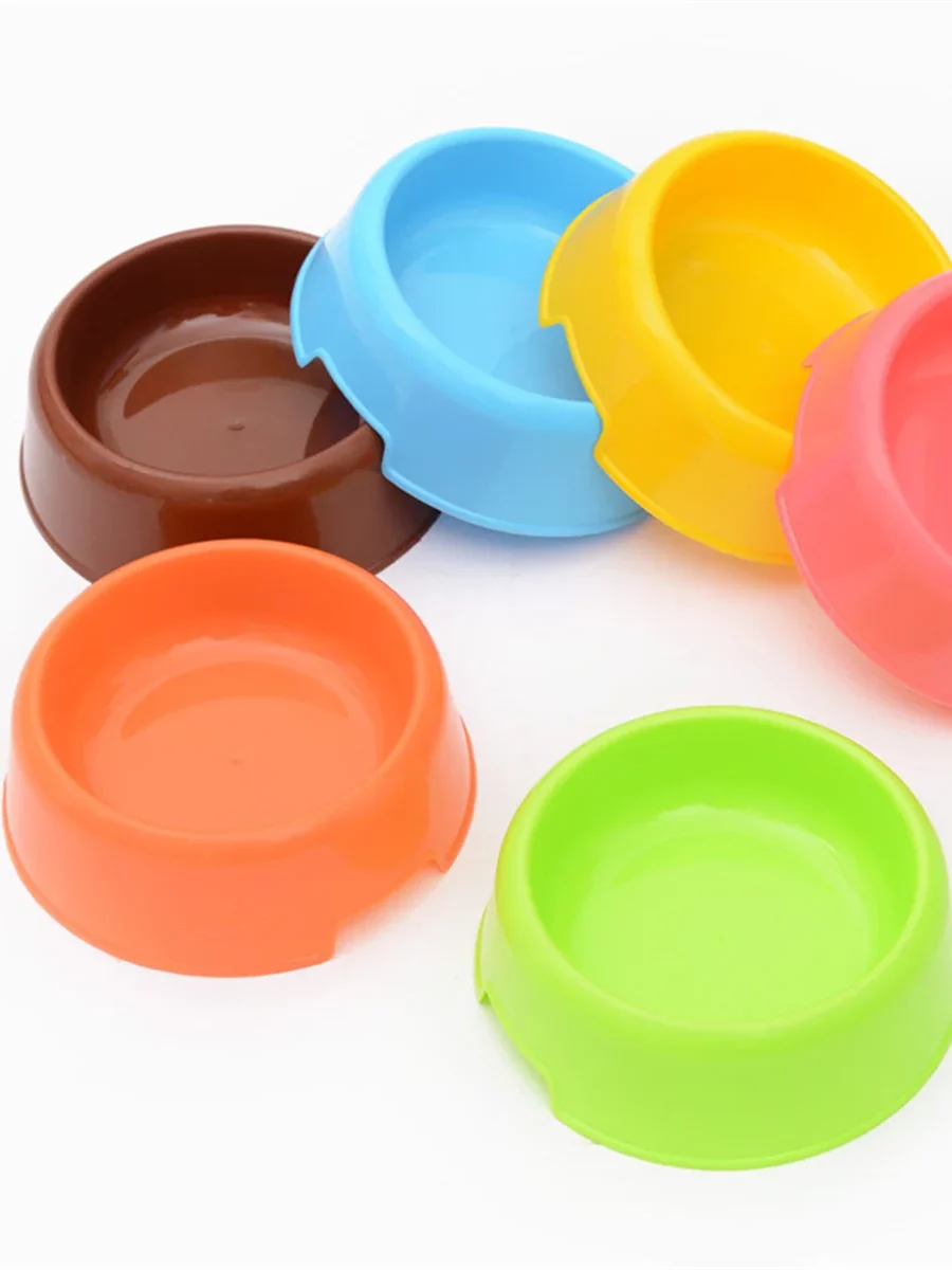 gamelle plastique colorée pour chien et chat