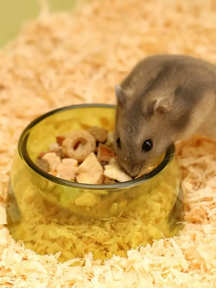 gamelle hamster colorée pour animaux