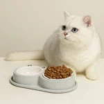 gamelle double grenouille pour chiens et chats