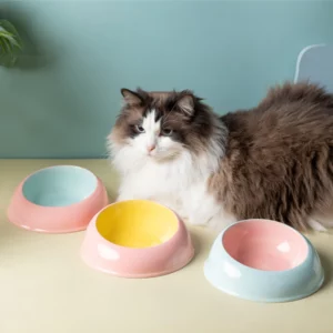 Bol de nourriture en céramique inclinée pour chien ou chat