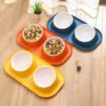 Gamelle anti-dérapante pour chiens, inclinaison optimale