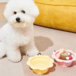 gamelle pliable fleur pour chien et chat