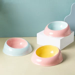 Gamelle céramique inclinée pour animaux de compagnie, design moderne