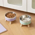 gamelle surélevée crème glacée pour chien et chat