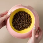 Bol en céramique inclinée pour un repas confortable des animaux