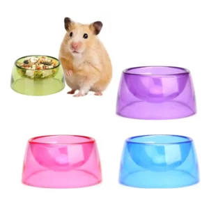 gamelle hamster colorée pour rongeur