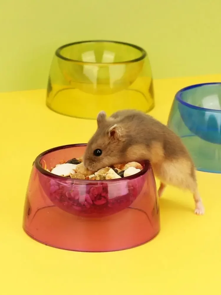 gamelle hamster colorée pour rongeur