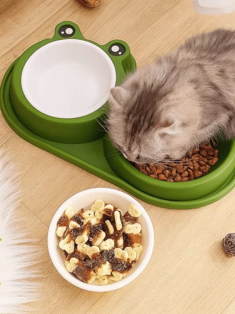 gamelle double grenouille pour chien et chat