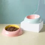 Bol inclinée en céramique, parfait pour éviter les renversements