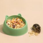 gamelle chat rongeur pour croquettes