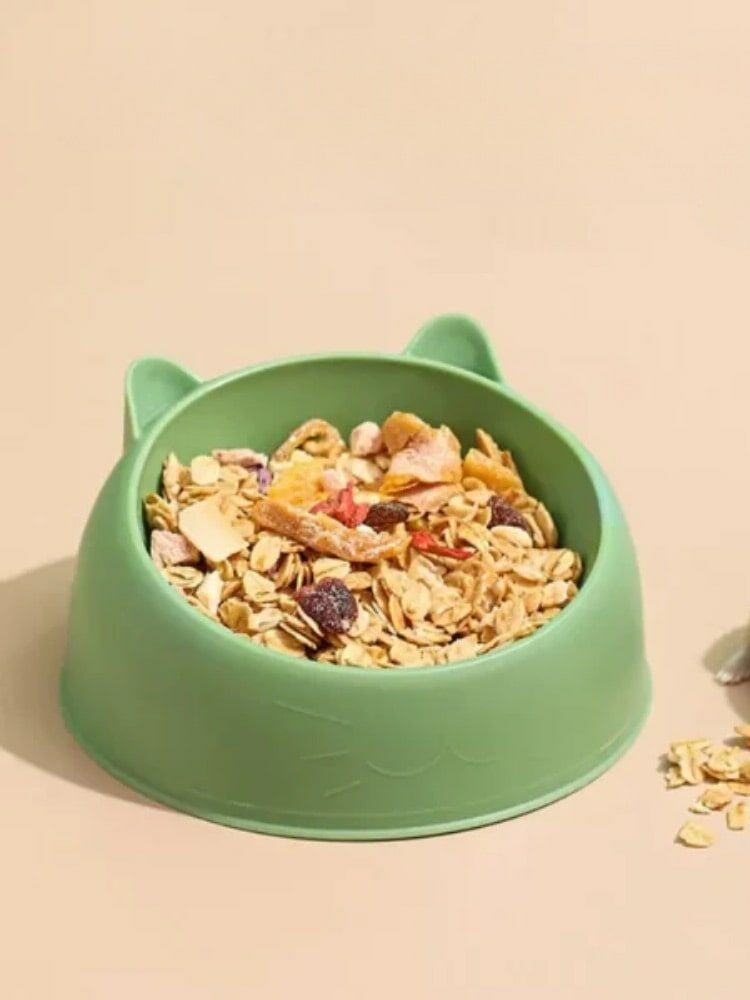 gamelle chat rongeur pour animal