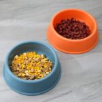 gamelle plastique animaux pour animaux