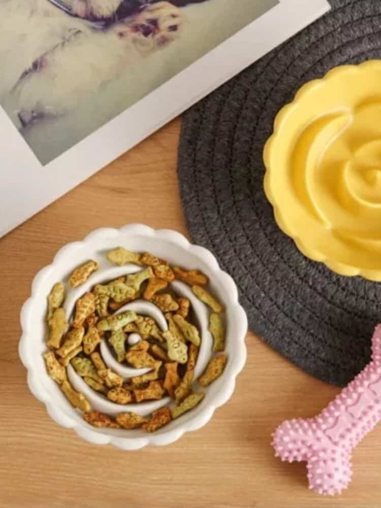 gamelle anti glouton surélevée pour chiens et chats