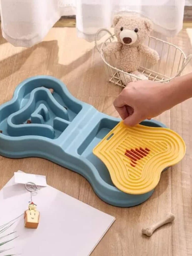 gamelle anti glouton double os pour chien et chat