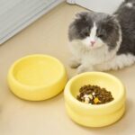 gamelle ronde surélevée pour animaux