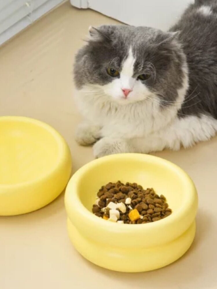 gamelle ronde surélevée pour animaux