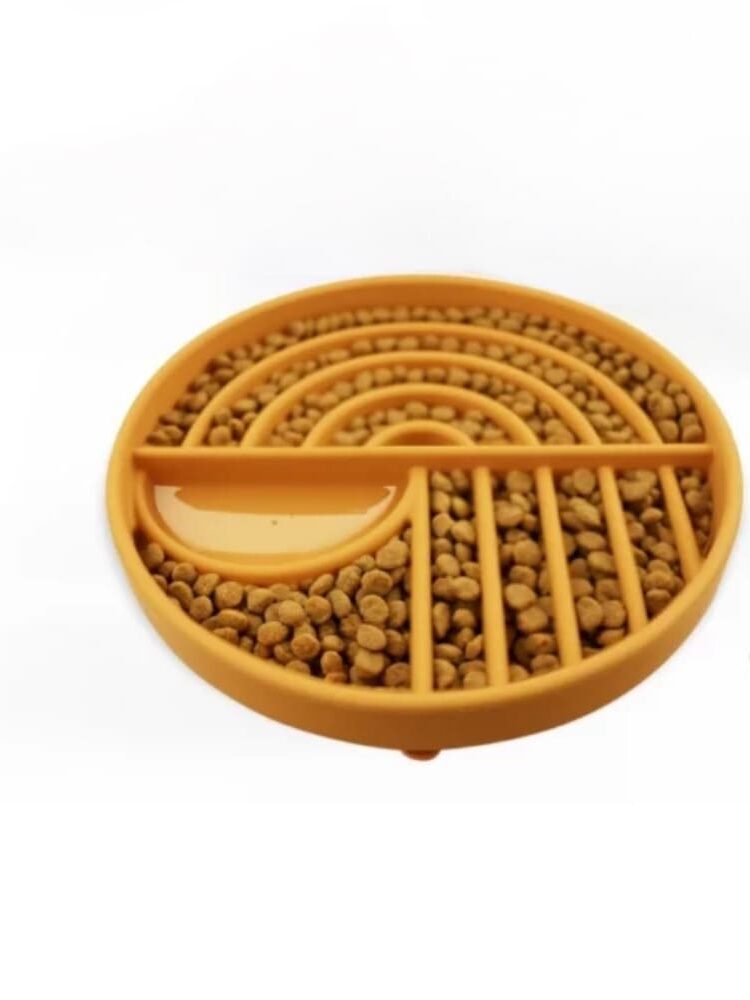 gamelle anti glouton multizone pour chien et chat