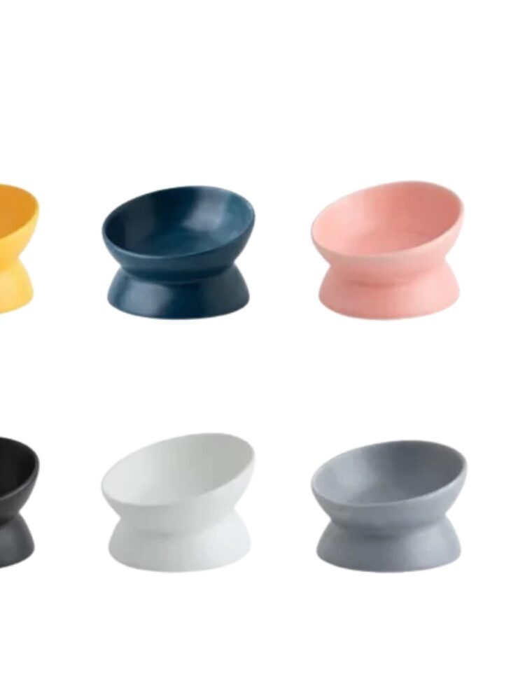 gamelle céramique ergonomique pour animaux