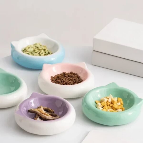 gamelle céramique chat pour animal
