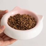 gamelle céramique chat pour chien et chat