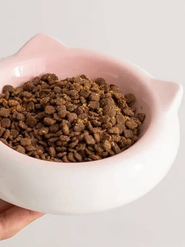 gamelle céramique chat pour animaux