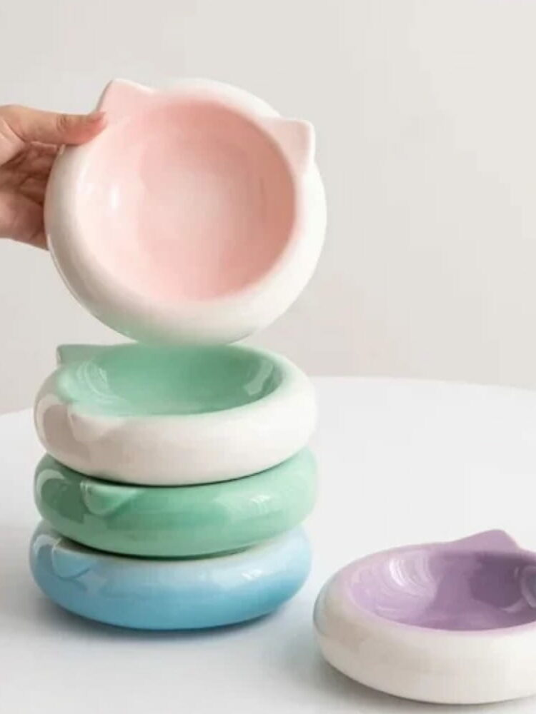 gamelle céramique chat pour chien et chat