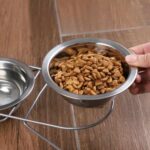 gamelle double surélevée inox pour animal