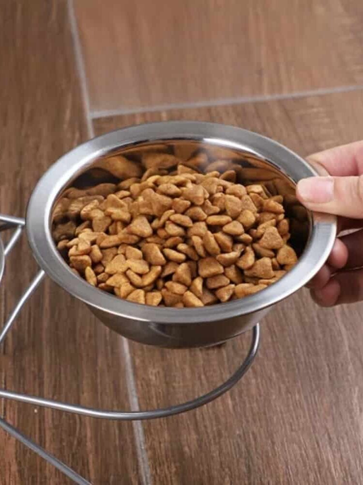 gamelle double surélevée inox pour animaux