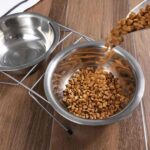 gamelle double surélevée inox pour chiot et chaton