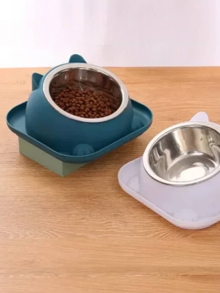 Gamelle pour chat inclinée, idéale pour faciliter l'alimentation de votre animal.