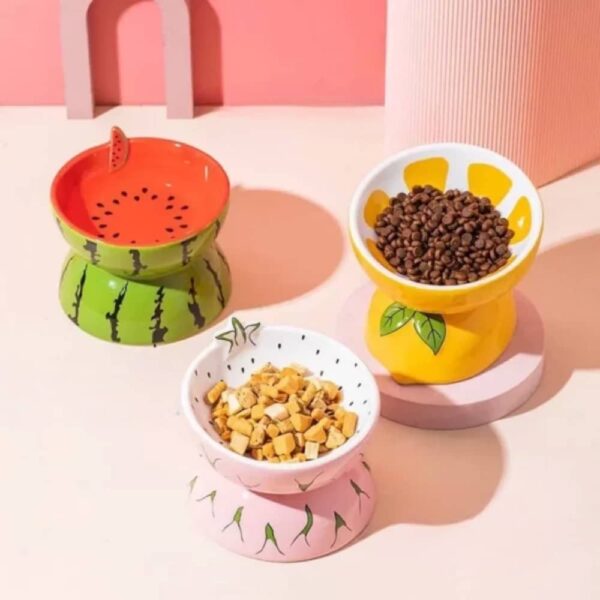 gamelle surélevée céramique fruit pour chiens et chats