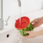 gamelle surélevée céramique fruit pour chiot et chaton