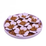 gamelle anti glouton trèfle pour chien et chat