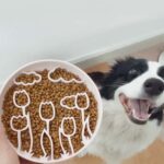 gamelle anti glouton tulipe pour chiot et chaton