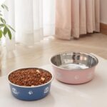 gamelle inox panda pour chiens et chats