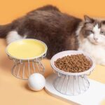 gamelle surélevée support pour chiens et chats