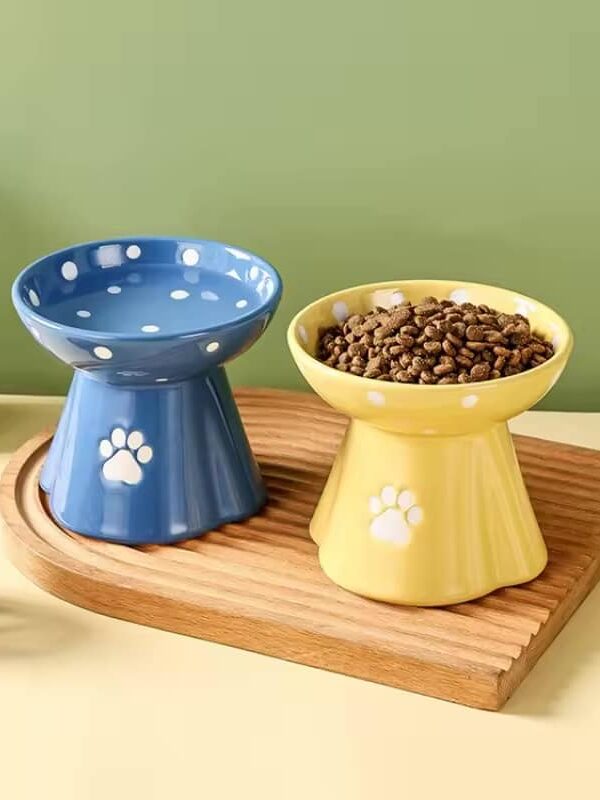 gamelle surélevée patte pour animaux