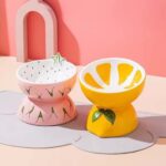 gamelle surélevée céramique fruit pour animaux