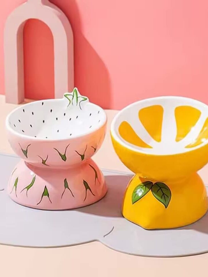 gamelle surélevée céramique fruit pour chien et chat