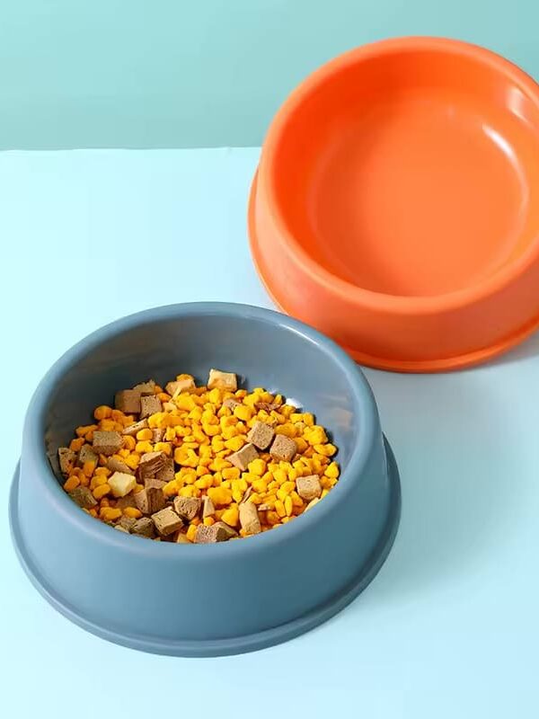 gamelle plastique animaux pour chien et chat